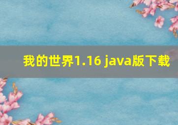 我的世界1.16 java版下载